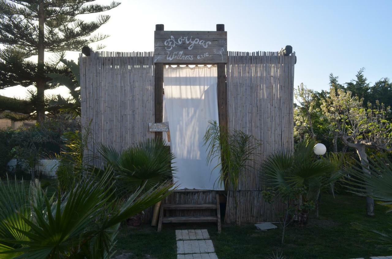 Floripa Surf House Bed and Breakfast Santa Maria Del Focallo Eksteriør billede