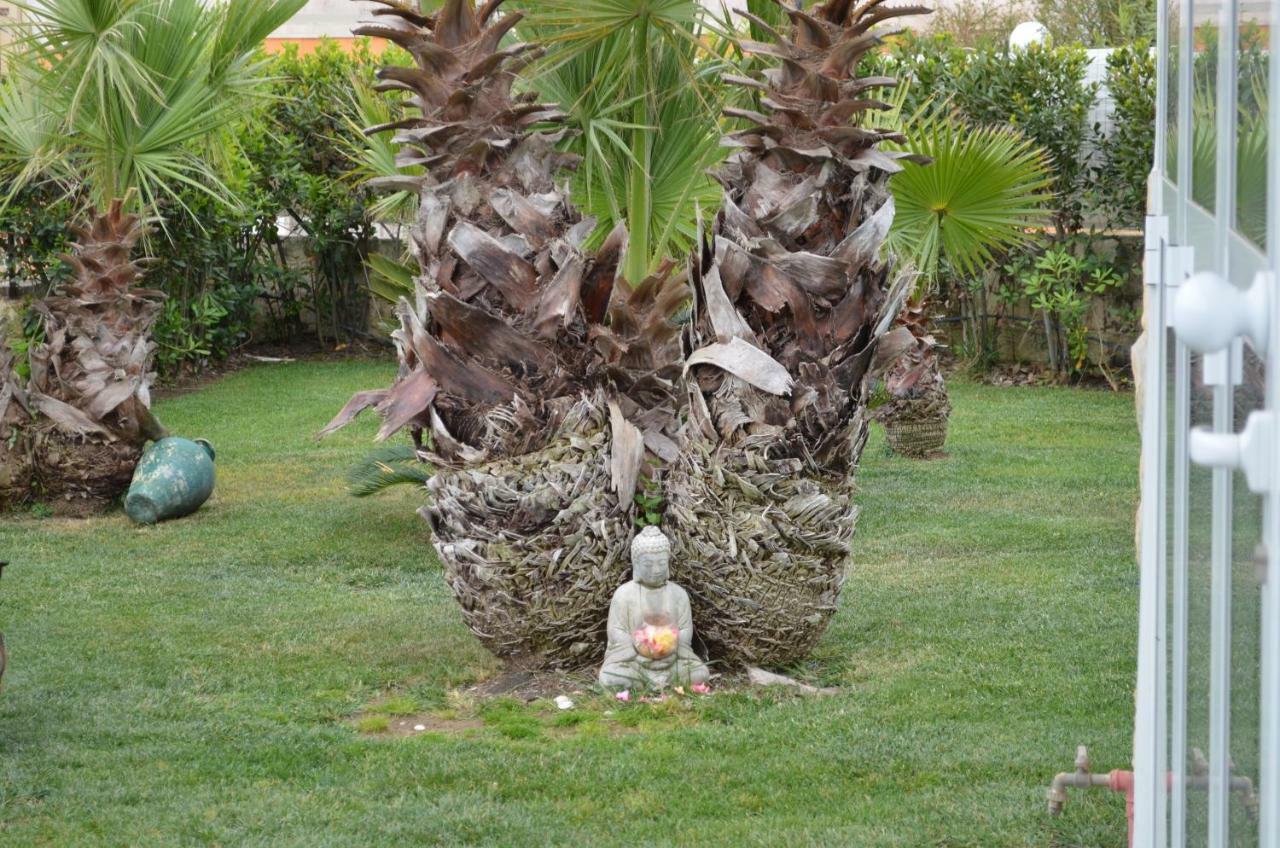 Floripa Surf House Bed and Breakfast Santa Maria Del Focallo Eksteriør billede